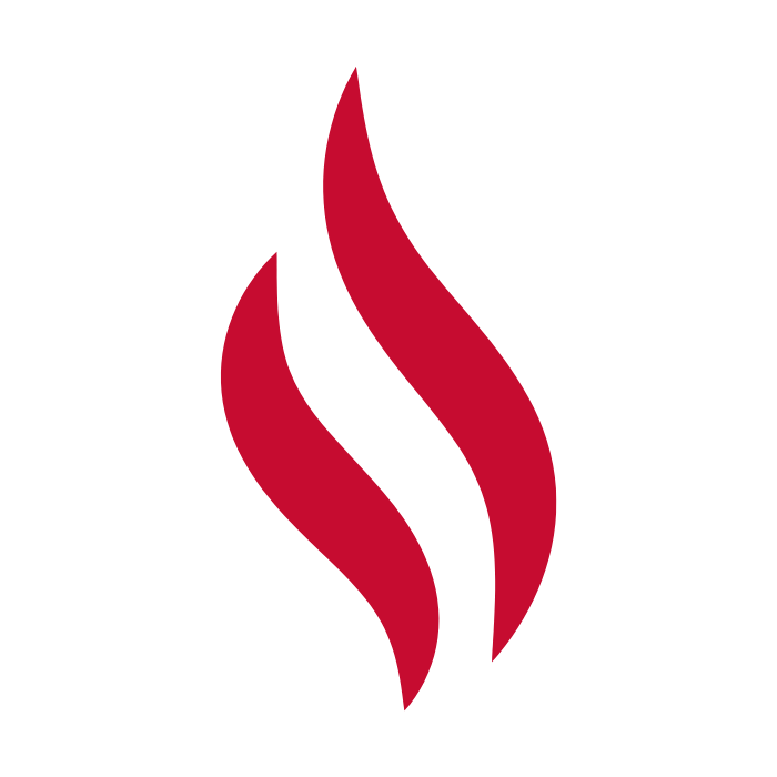 nordichigh.dk logo