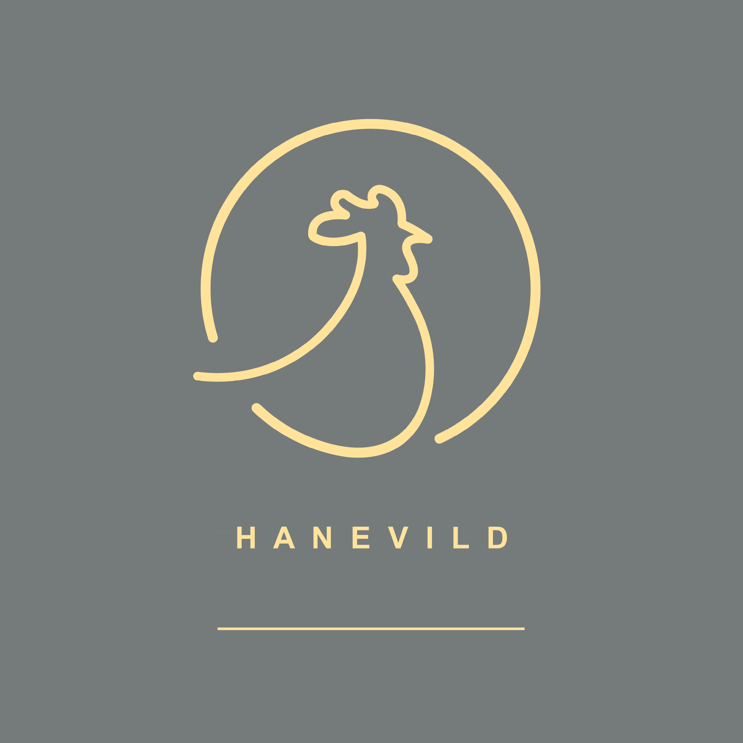 hanevild.dk logo