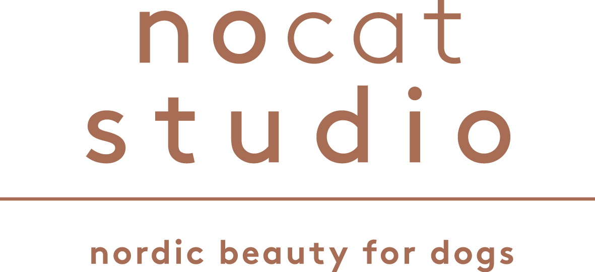 nocatstudio.com logo
