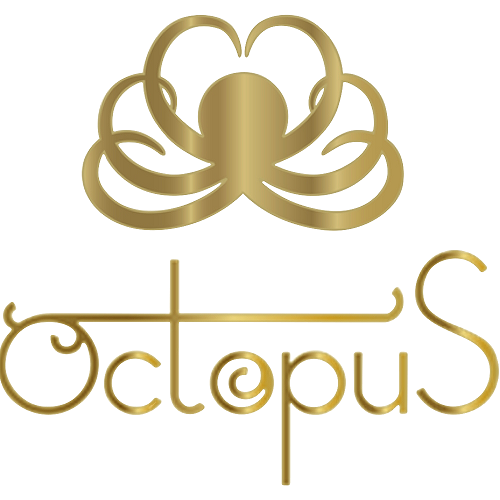 octopusdenmark.com logo