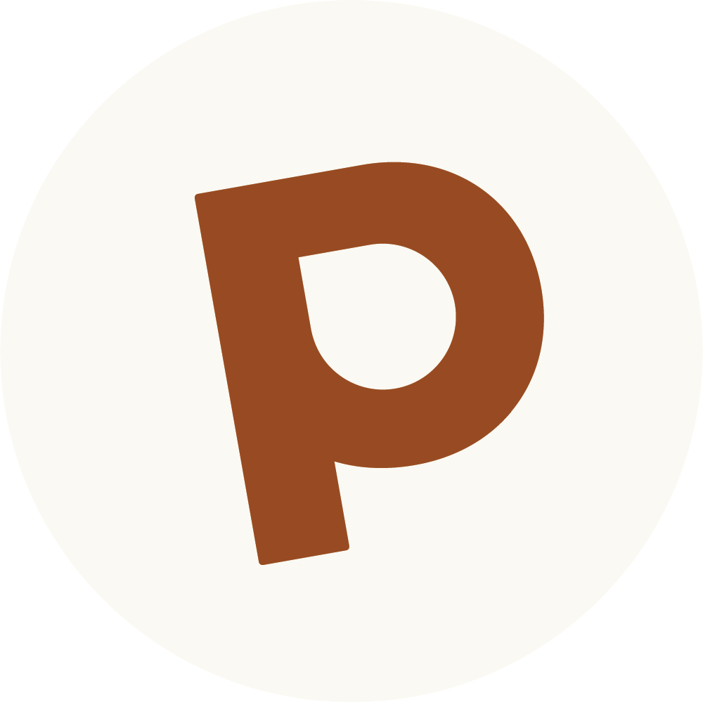picment.dk logo