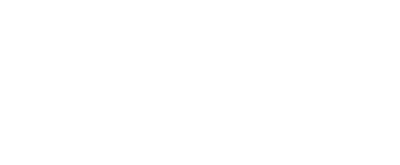 bambuni.dk logo