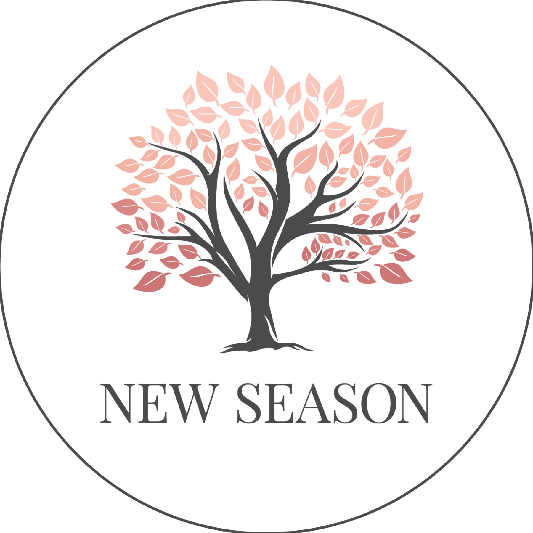 newseason.dk logo