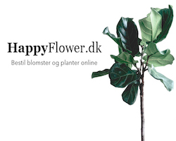 happyflower.dk logo