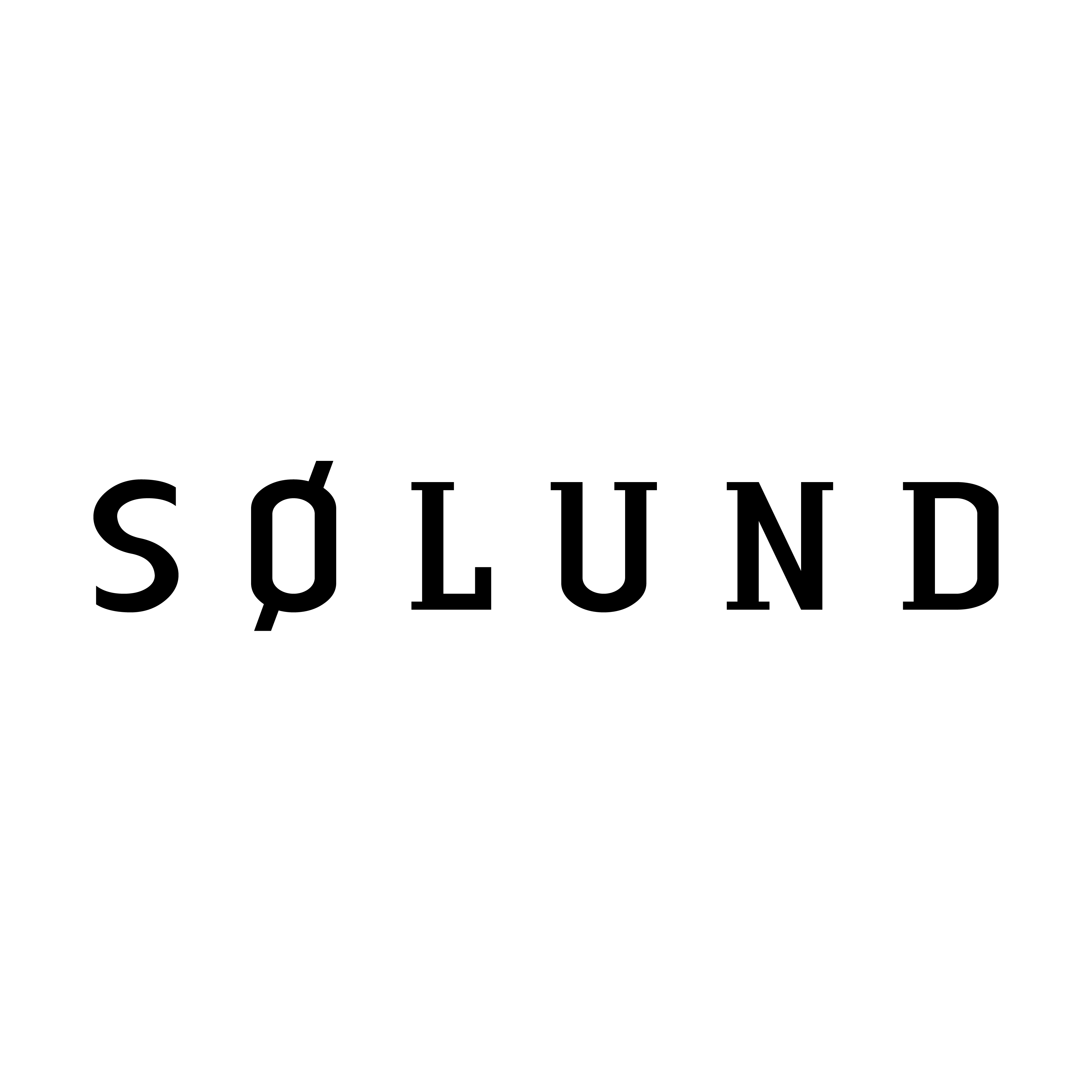 solundhuse.dk logo